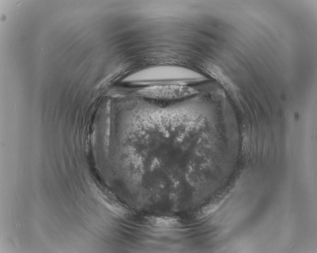 X0000088030165200705251125