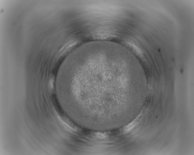 X0000088030166200705251125