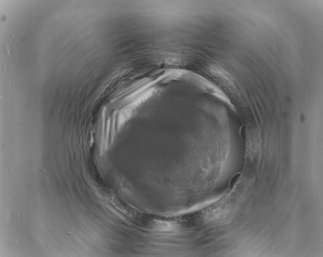 X0000088030167200705251125