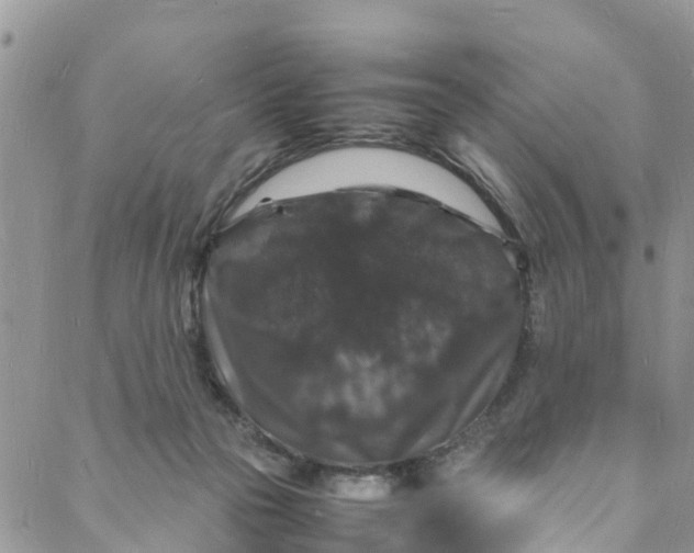 X0000088030169200705251125