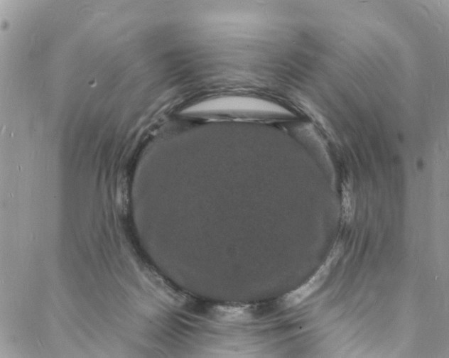 X0000088030170200705251125