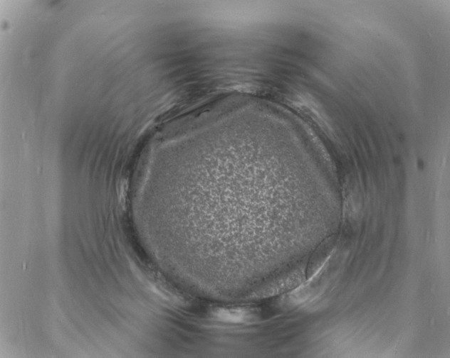 X0000088030171200705251125