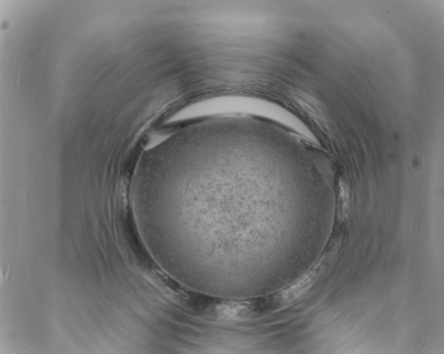 X0000088030172200705251125