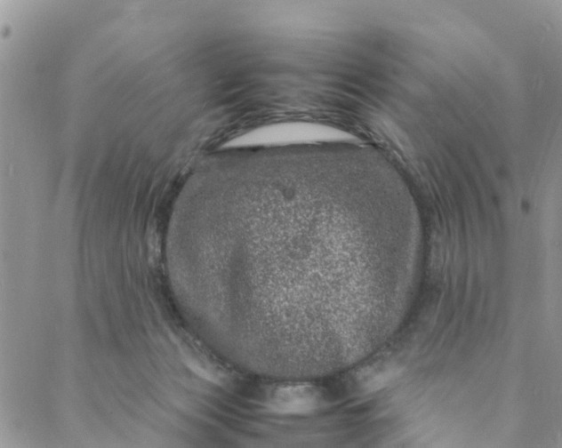 X0000088030173200705251125