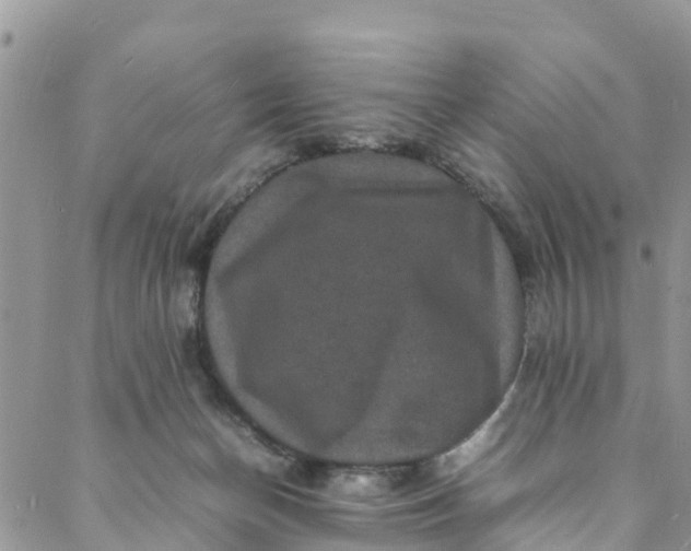 X0000088030174200705251125