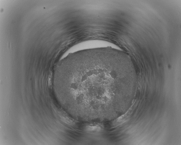 X0000088030175200705251125