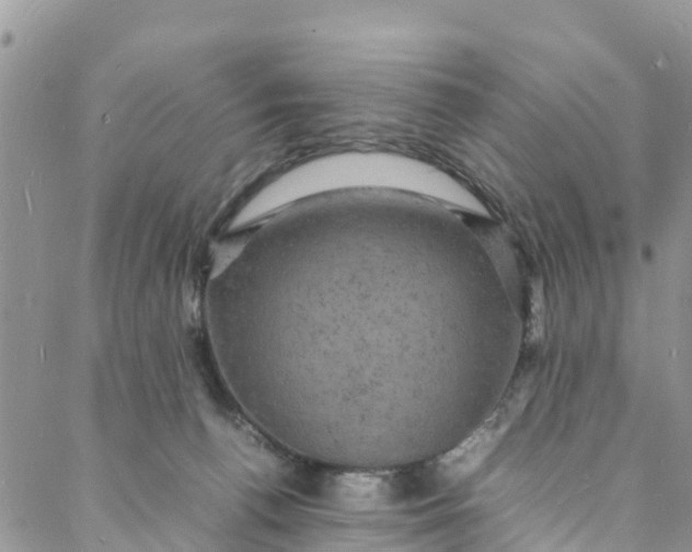 X0000088030176200705251125