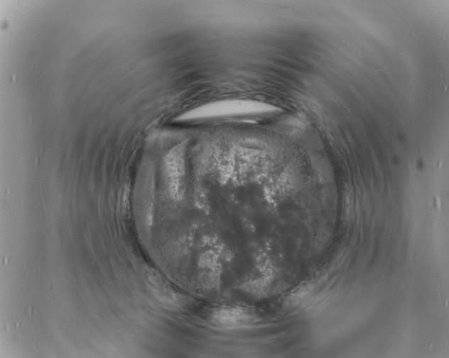 X0000088030177200705251125