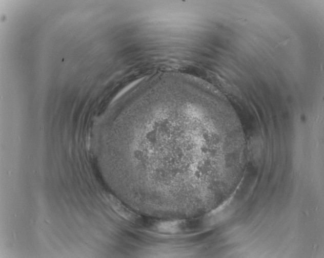 X0000088030178200705251125