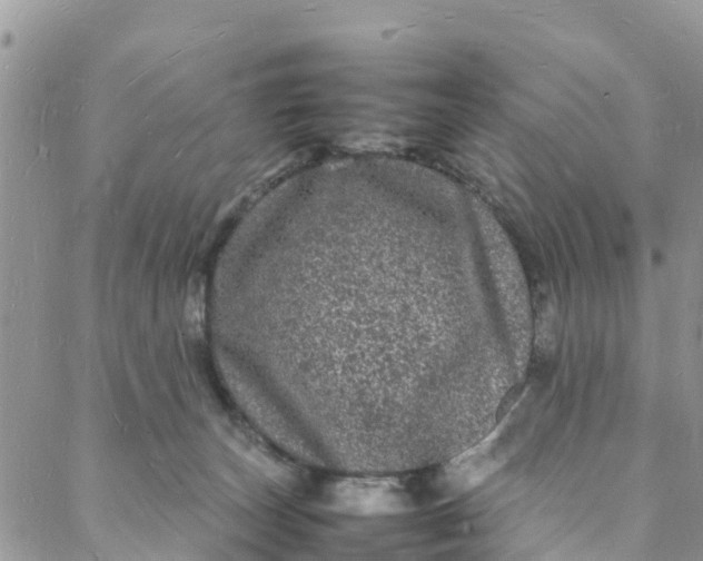 X0000088030179200705251125