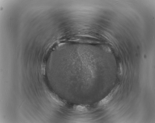 X0000088030180200705251125