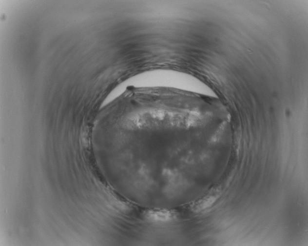 X0000088030181200705251125