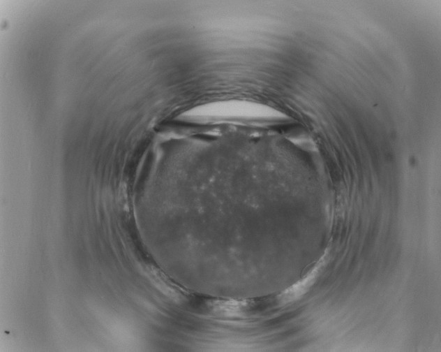 X0000088030182200705251125