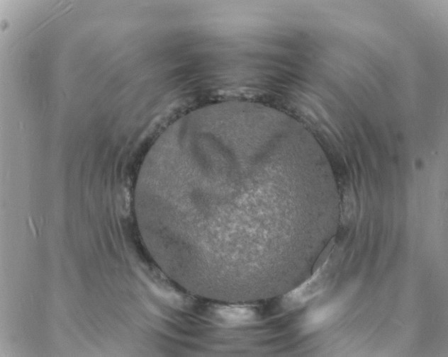 X0000088030183200705251125