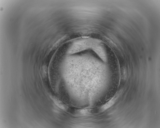 X0000088030184200705251125