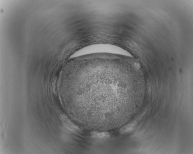 X0000088030185200705251125