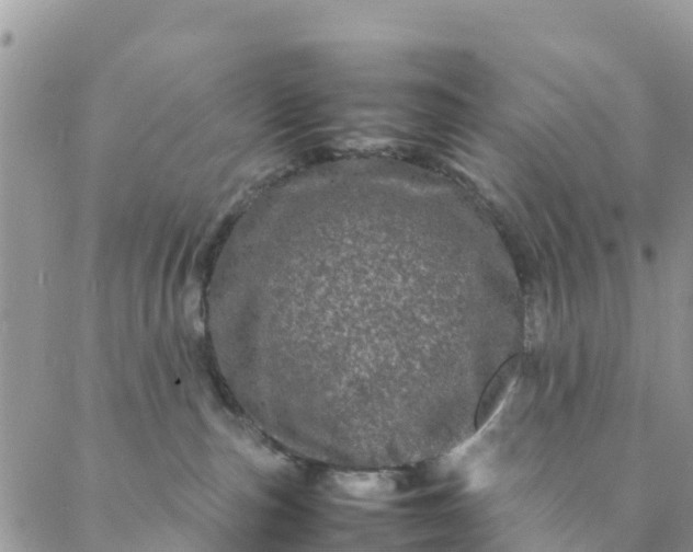 X0000088030187200705251126