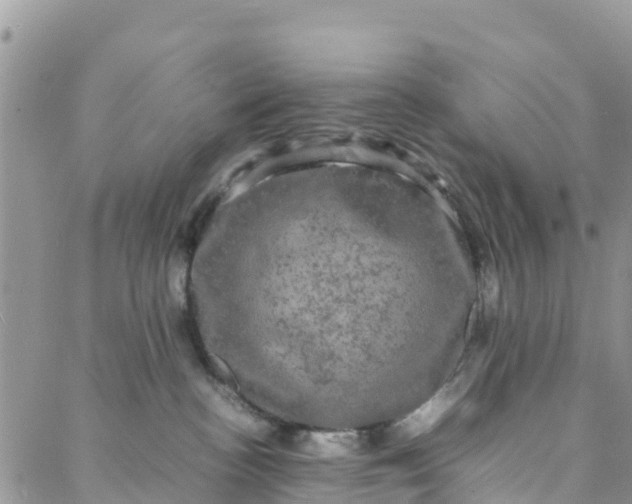 X0000088030188200705251126