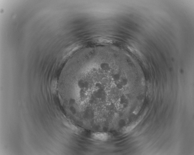 X0000088030189200705251126