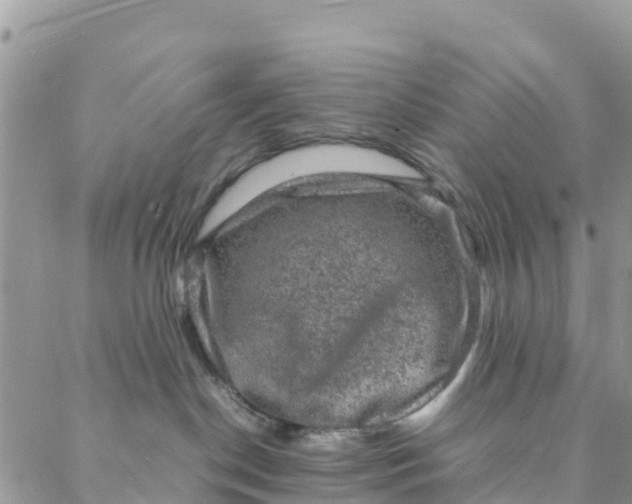 X0000088030190200705251126