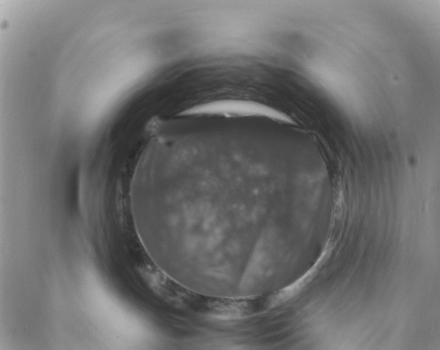 X0000088030191200705251126