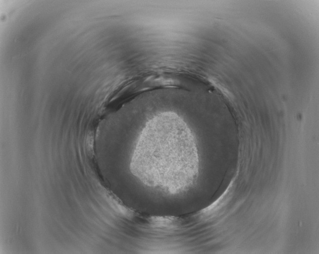 X0000088030192200705251126