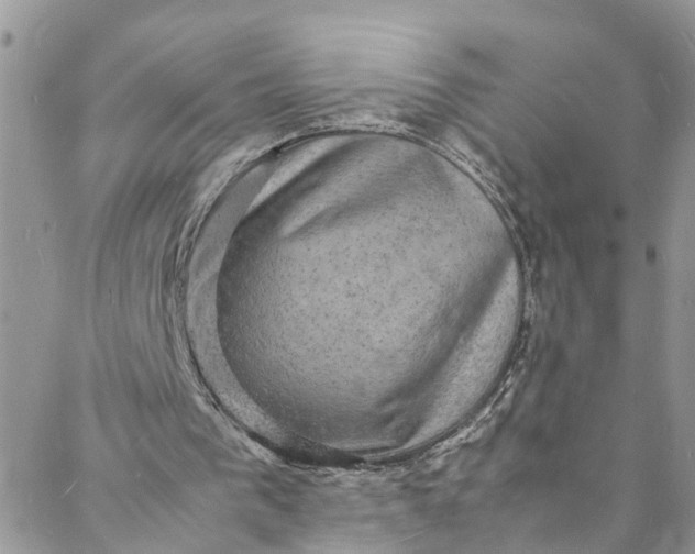 X0000088030193200705251125