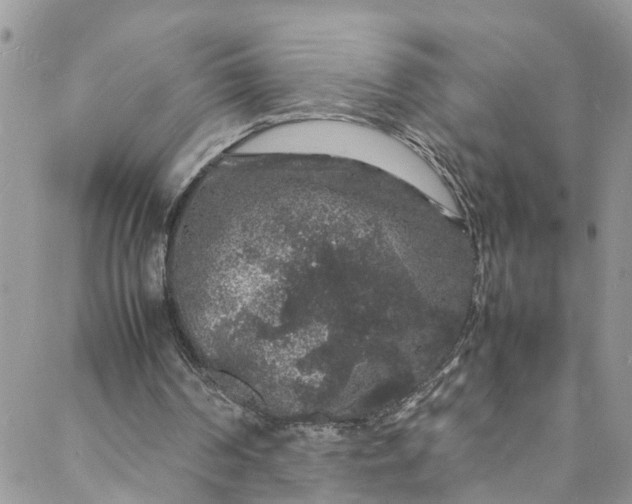 X0000088030194200705251125