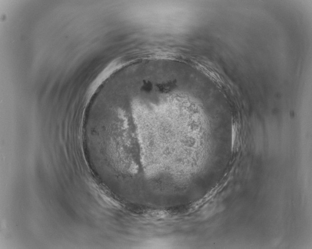 X0000088030195200705251125