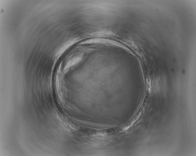 X0000088030196200705251125