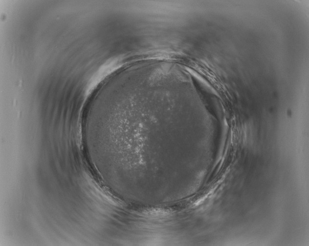 X0000088030198200705251125