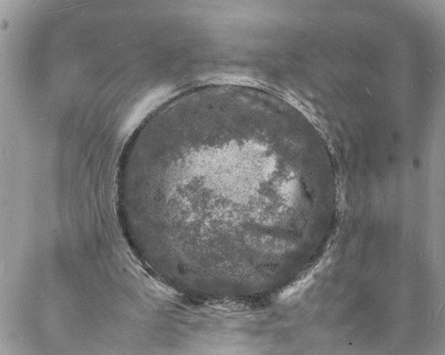 X0000088030199200705251125