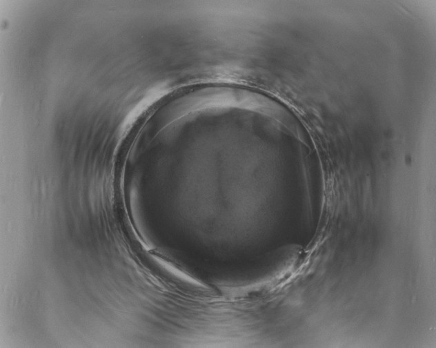 X0000088030200200705251125