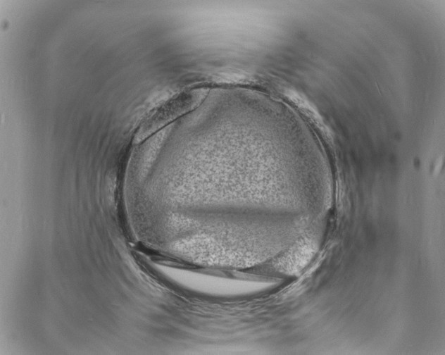 X0000088030201200705251125