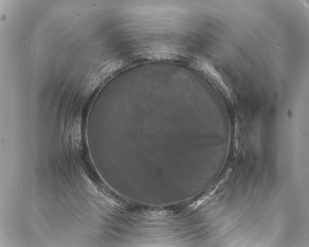 X0000088030202200705251125