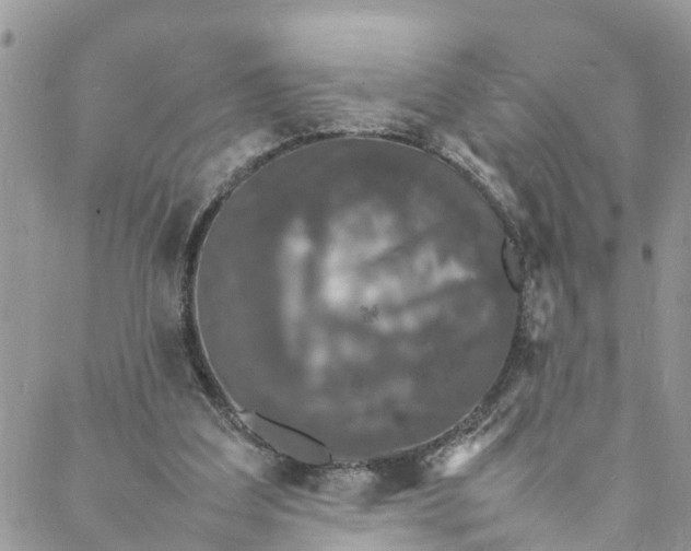 X0000088030203200705251125