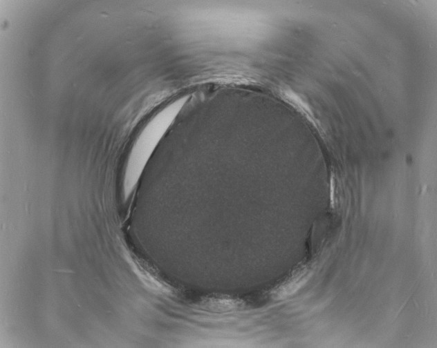 X0000088030205200705251125