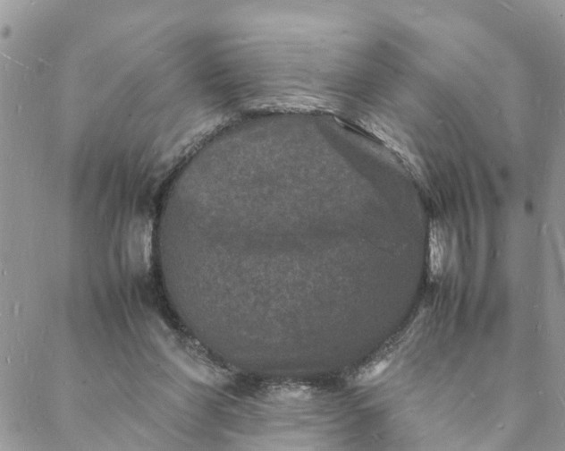 X0000088030206200705251125