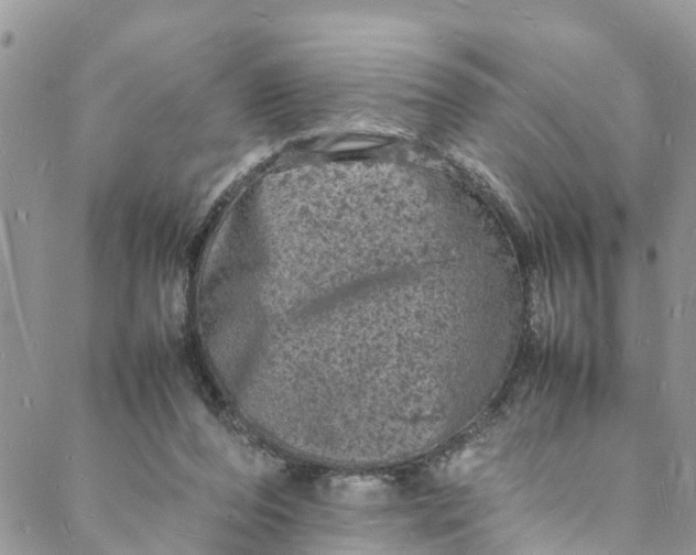 X0000088030208200705251125