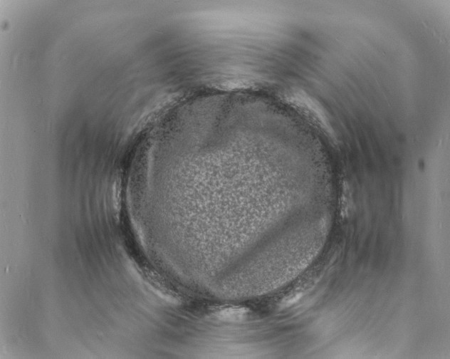 X0000088030210200705251125