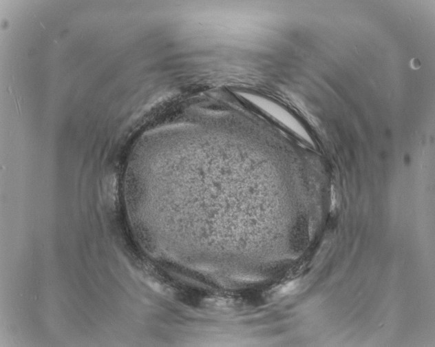 X0000088030211200705251125