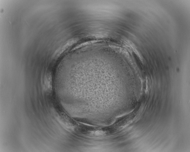 X0000088030212200705251125