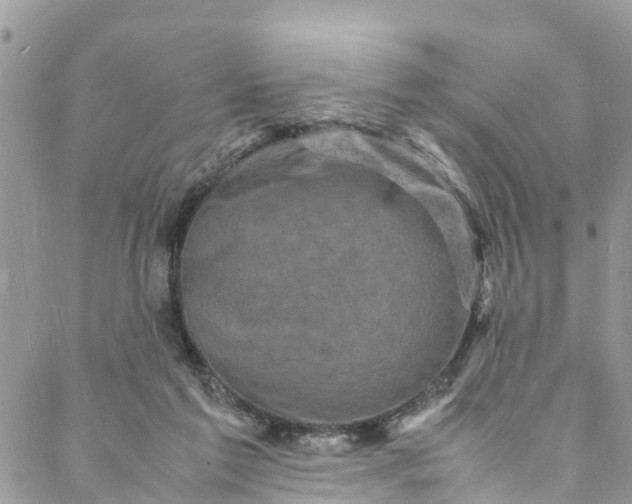 X0000088030213200705251124