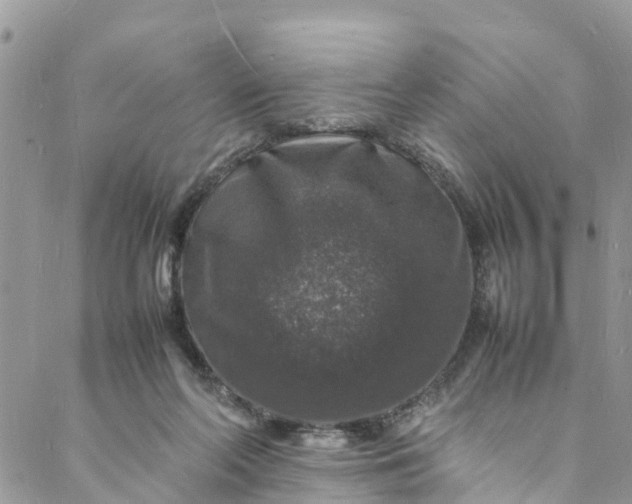 X0000088030214200705251124