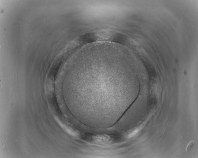 X0000088030215200705251124