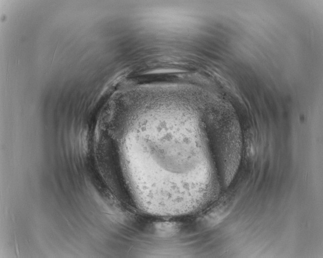 X0000088030216200705251124