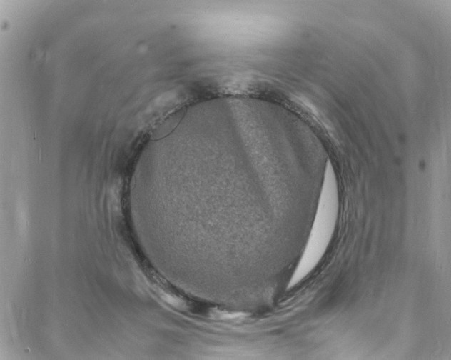 X0000088030217200705251124