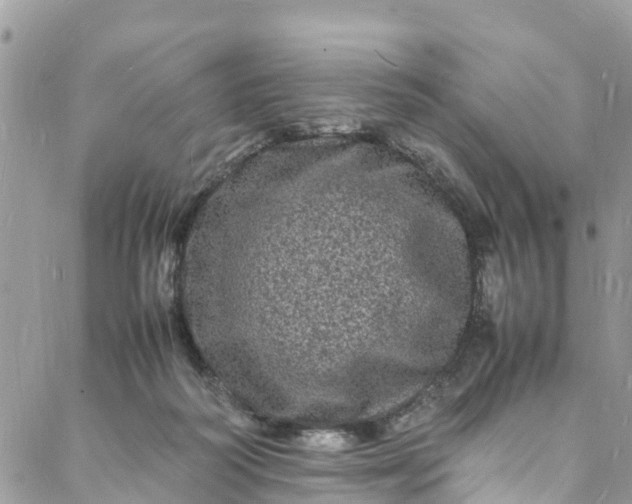 X0000088030218200705251124