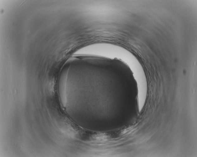 X0000088030219200705251124