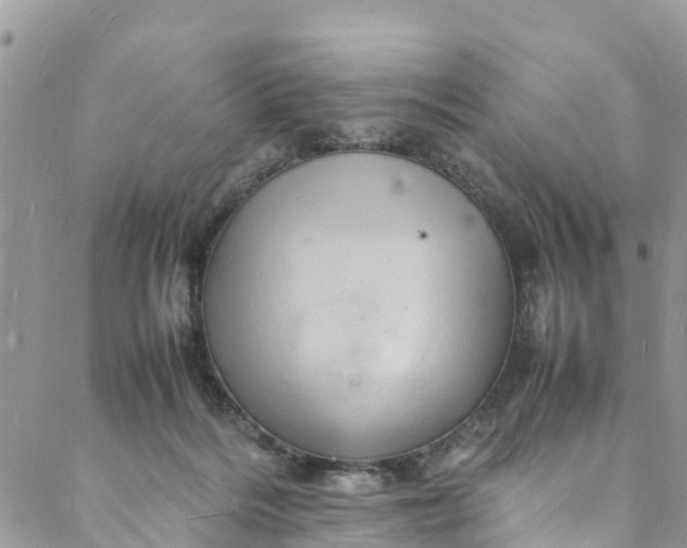 X0000088030220200705251124